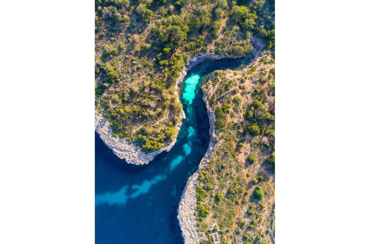 Can Guineu ポレンサ エクステリア 写真